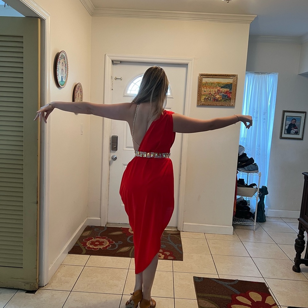 Rhythm/latin Competition Dress - Picture 11 of 13